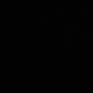 Meet your Posher, Ricky